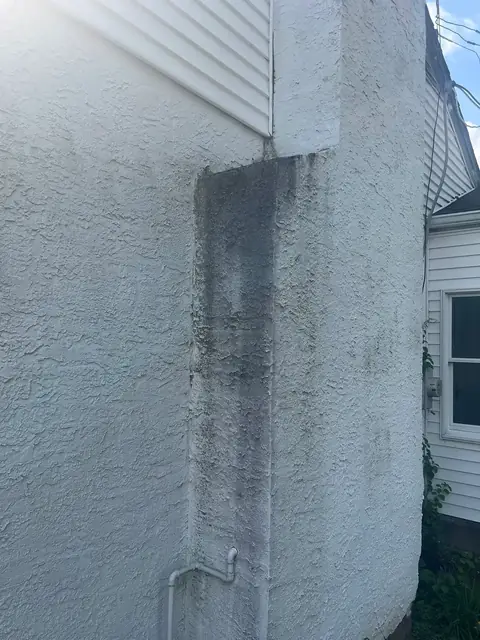 Whole-House Exterior Wash, before: that morning